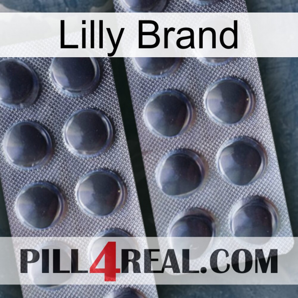 Lilly Brand 31.jpg